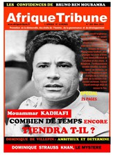 Afrique Tribune N° 3 Mars 2011