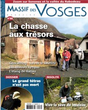 Massif des Vosges