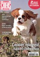Revue Chiens 2000 N° 401 Avril 2013