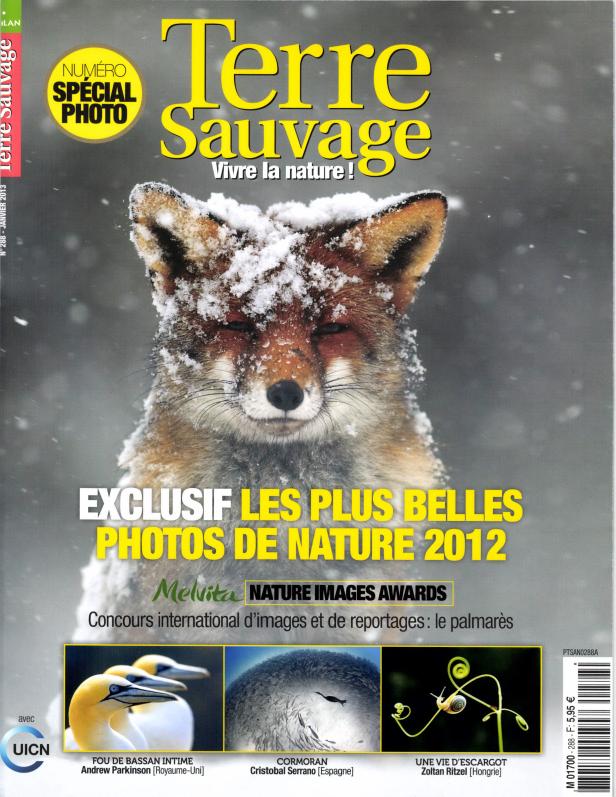 terre sauvage