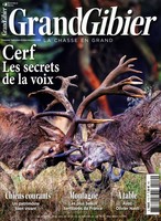 Grand gibier