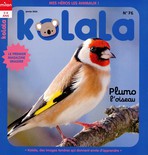 Kolala
