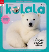 Kolala