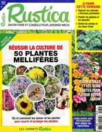 Rustica