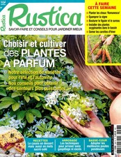 Rustica