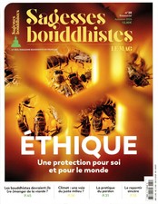 Sagesses Bouddhistes Le Mag