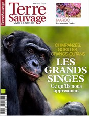 Terre Sauvage