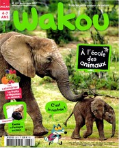 Wakou