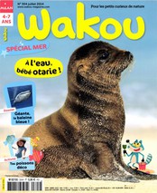 Wakou