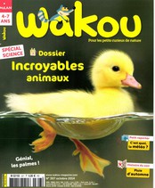 Wakou
