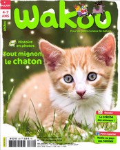 Wakou