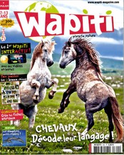 Wapiti