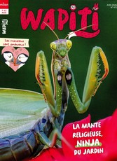 Wapiti